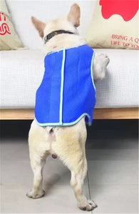 Pet Cooling Dog Vest