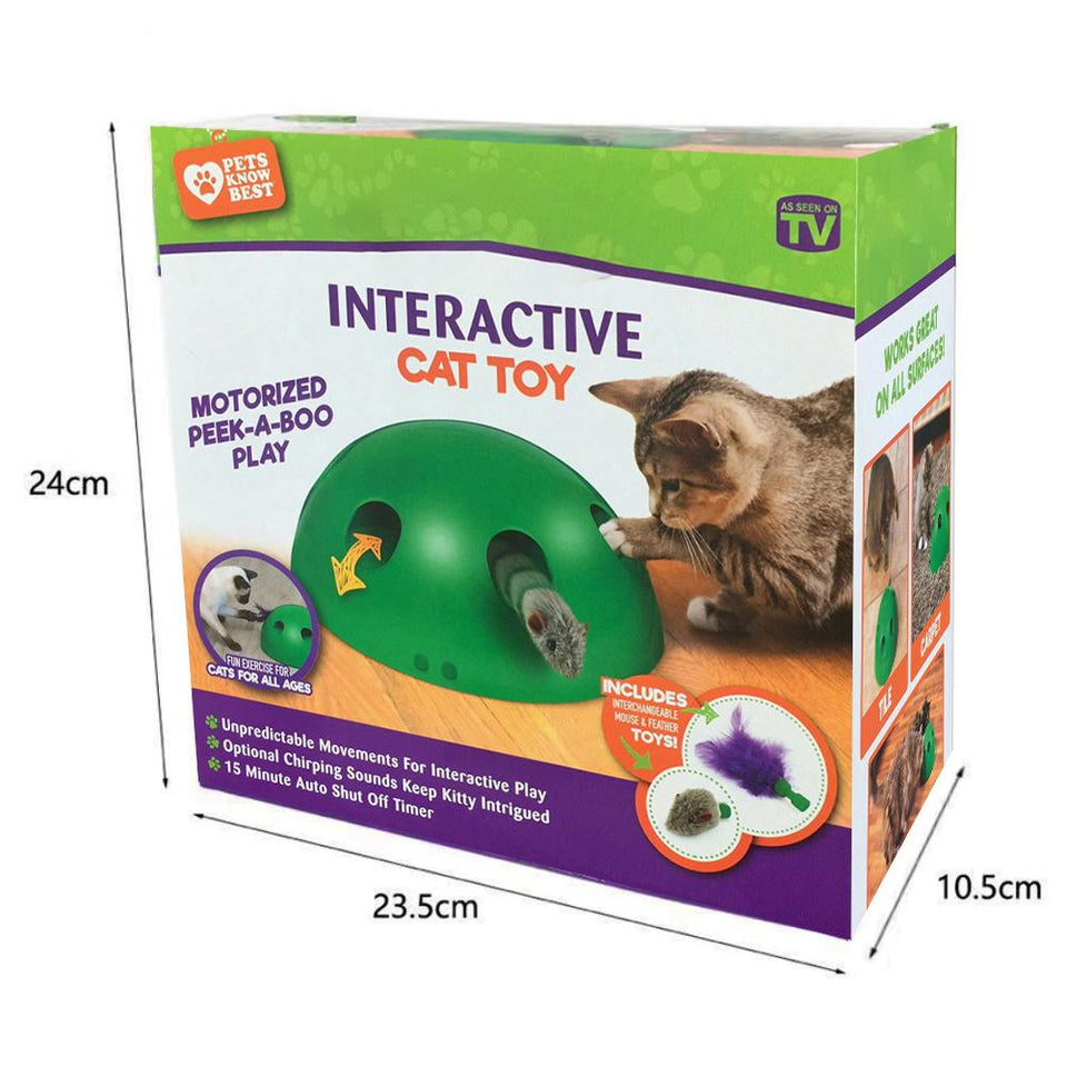 POP N PLAY Interactive motion Cat Toy