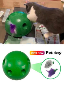 POP N PLAY Interactive motion Cat Toy