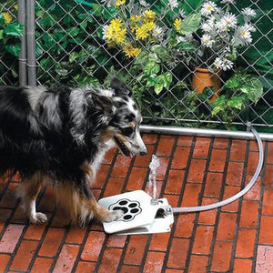 Pet Fountain Automatic Dog Foot Activated Water Feeder
