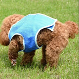 Pet Cooling Dog Vest